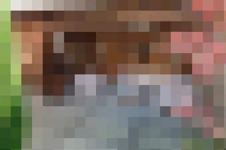 Ootmarsumsestraat 137 b Almelo thumbnail 4