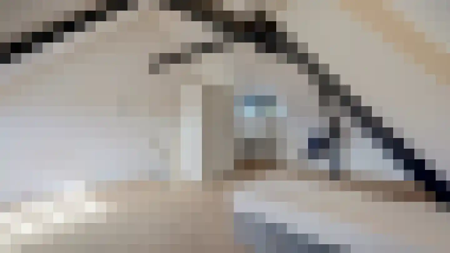 Ootmarsumsestraat 139 Almelo thumbnail 36