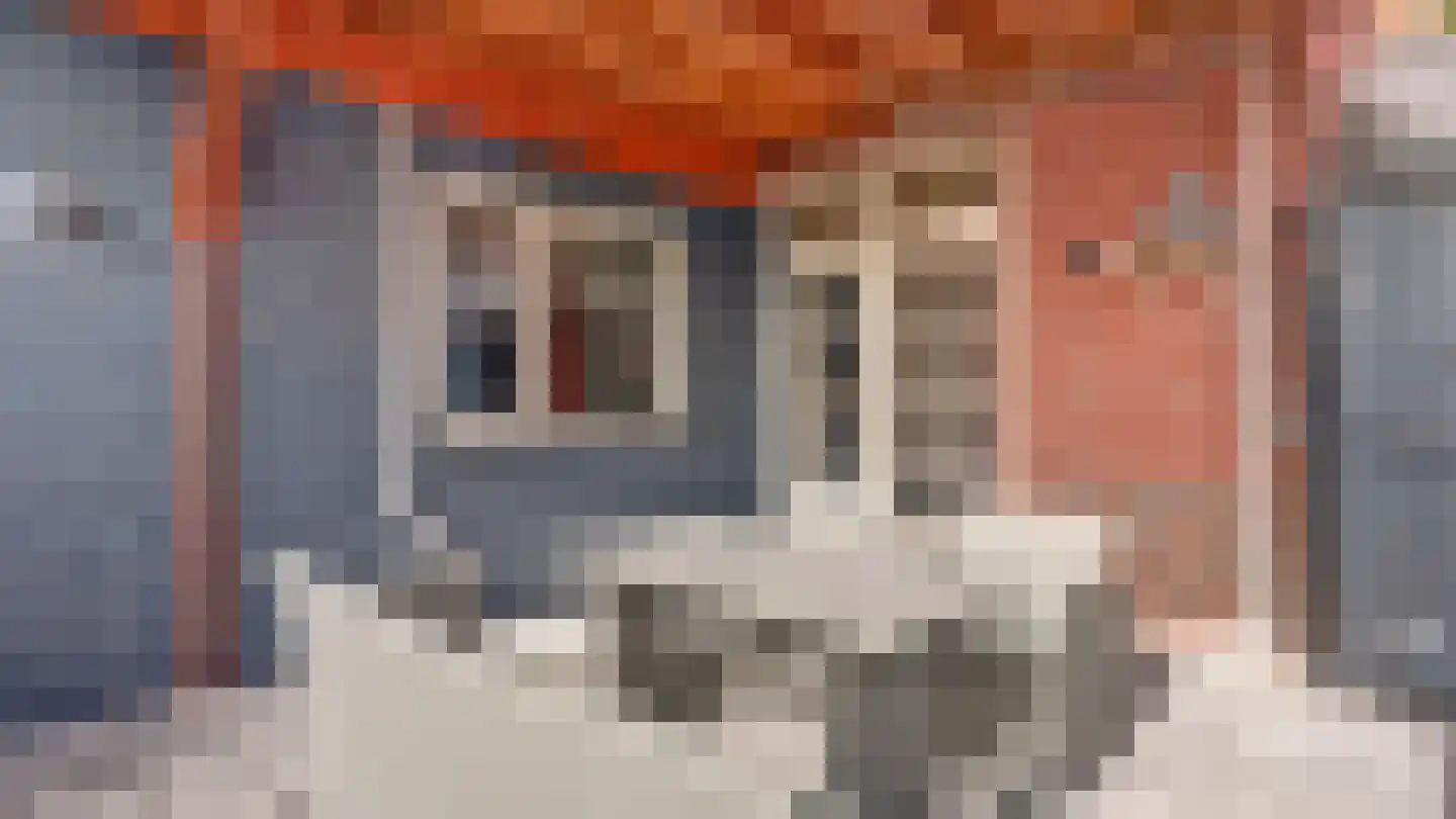 Ootmarsumsestraat 139 Almelo thumbnail 40