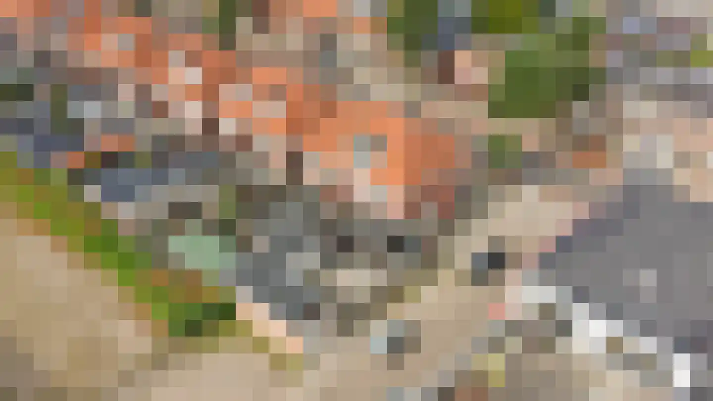 Ootmarsumsestraat 139 Almelo thumbnail 43