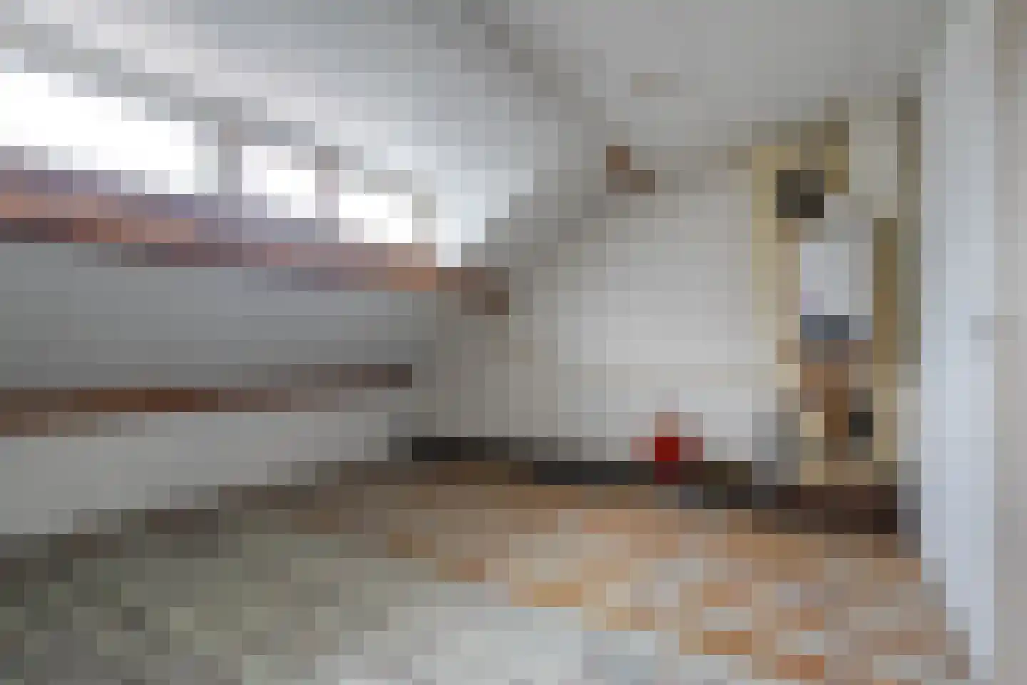 Ootmarsumsestraat 142 Almelo thumbnail 20