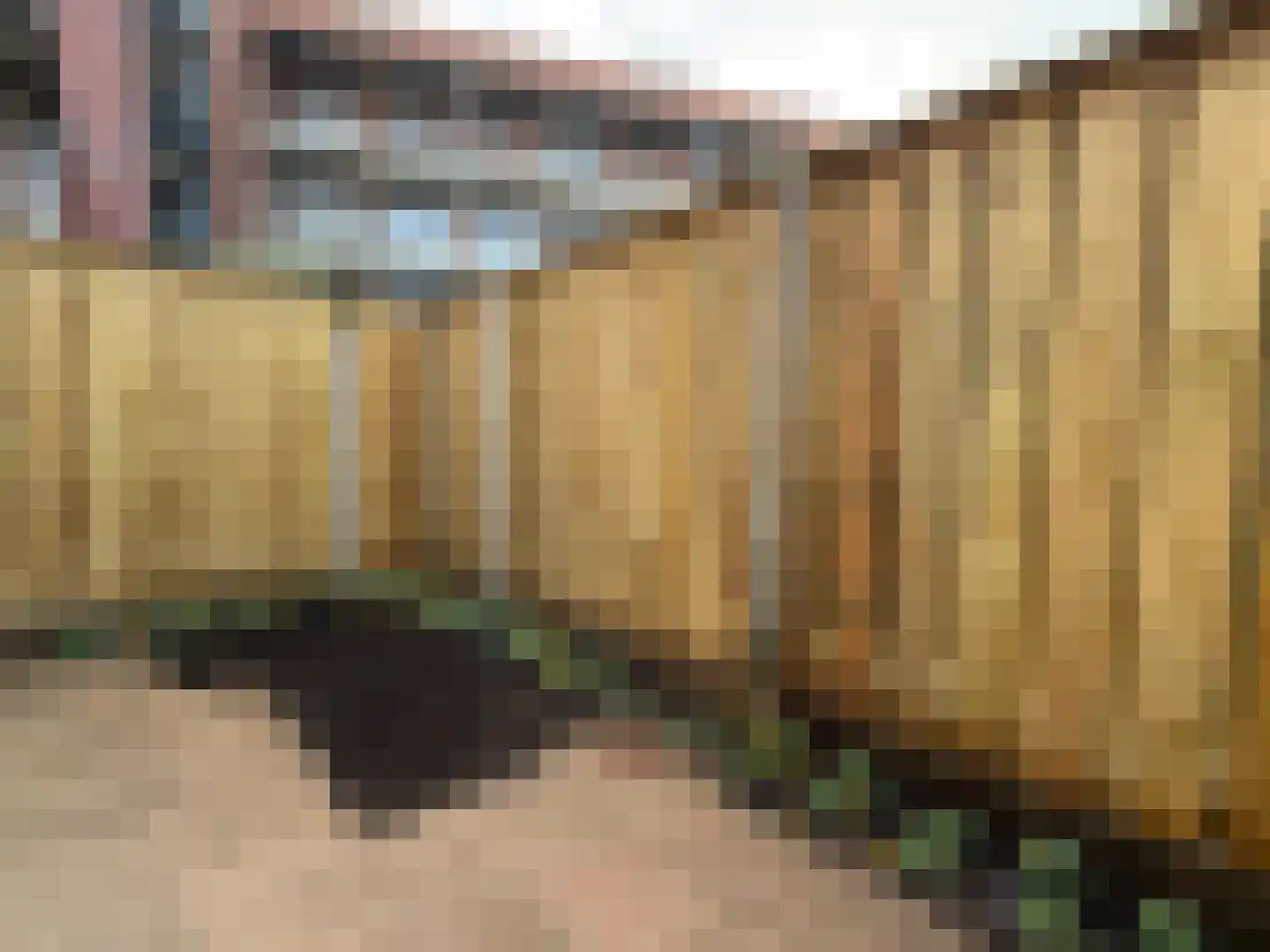 Ootmarsumsestraat 142 Almelo thumbnail 23
