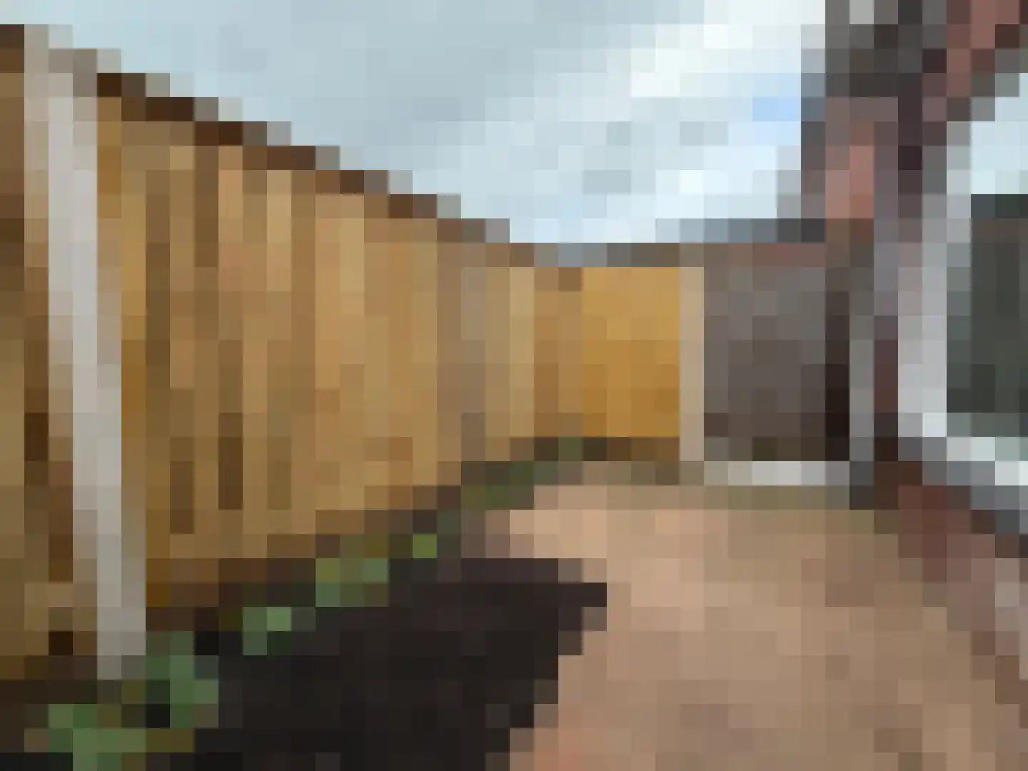 Ootmarsumsestraat 142 Almelo thumbnail 24