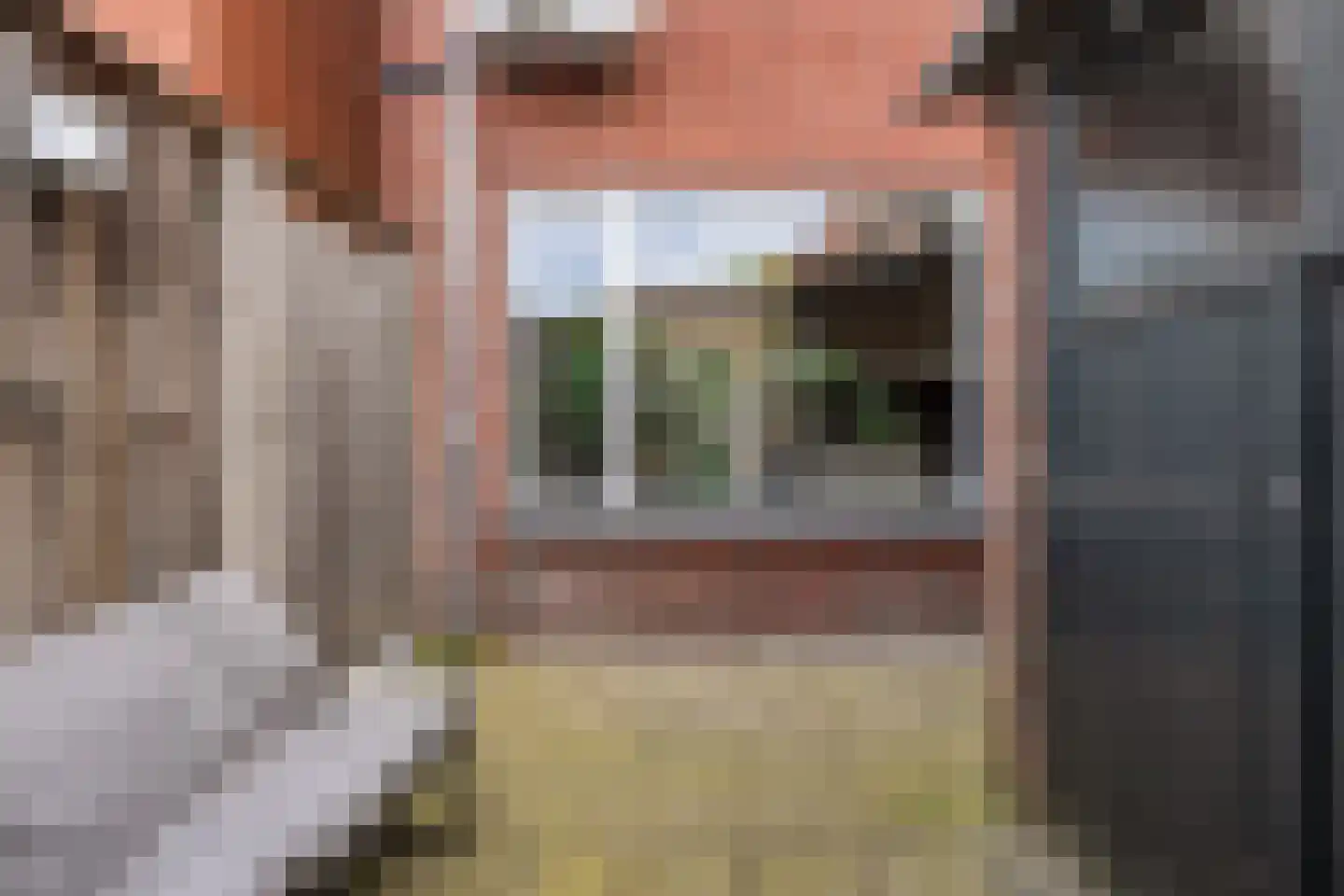 Ootmarsumsestraat 142 Almelo thumbnail 25