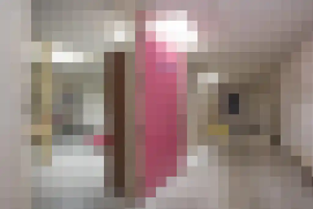 Ootmarsumsestraat 171 Almelo thumbnail 6