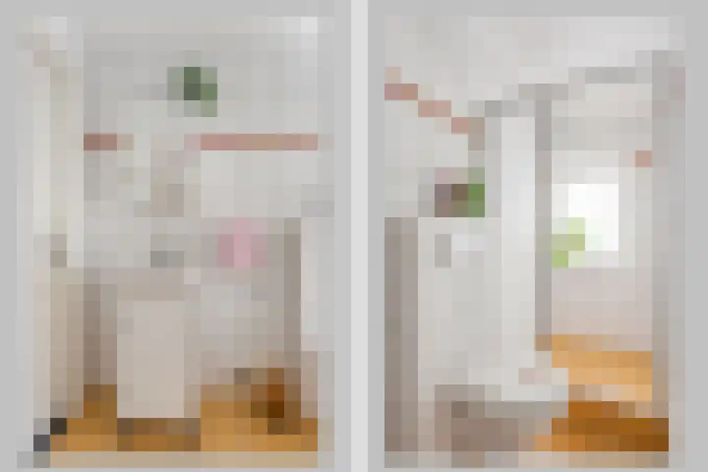 Ootmarsumsestraat 20 Rossum thumbnail 14