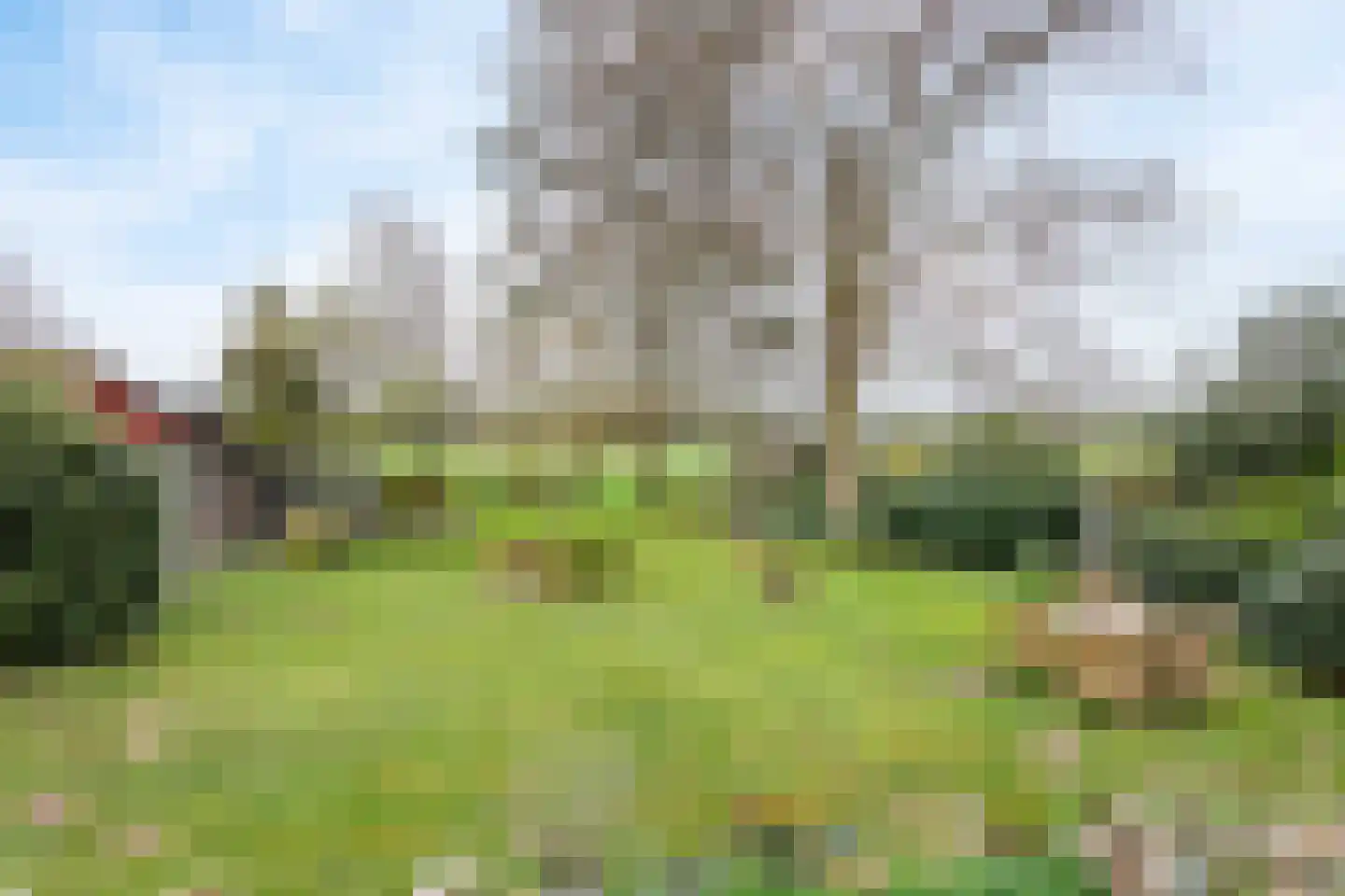 Ootmarsumsestraat 20 Rossum thumbnail 18