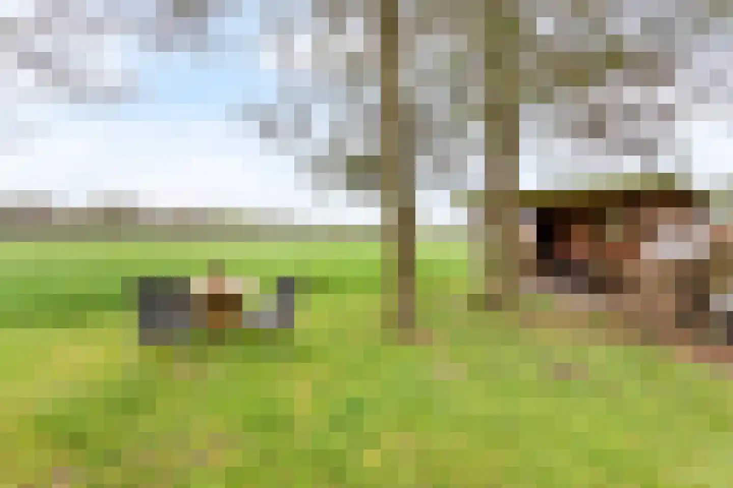 Ootmarsumsestraat 20 Rossum thumbnail 19