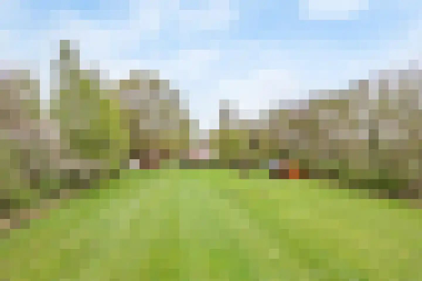 Ootmarsumsestraat 20 Rossum thumbnail 22