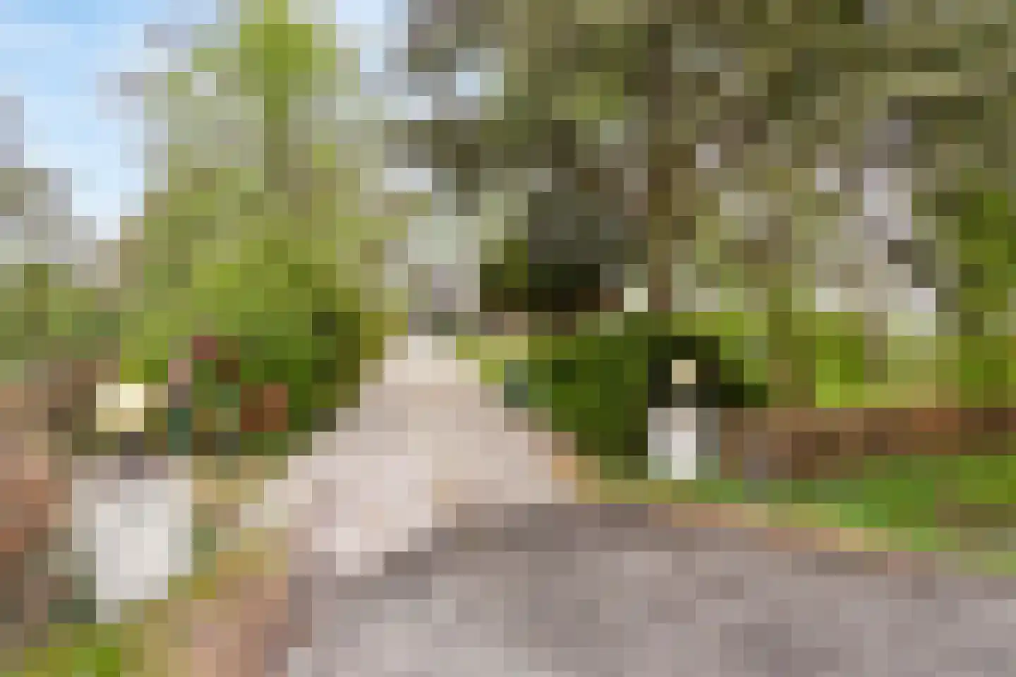 Ootmarsumsestraat 20 Rossum thumbnail 23