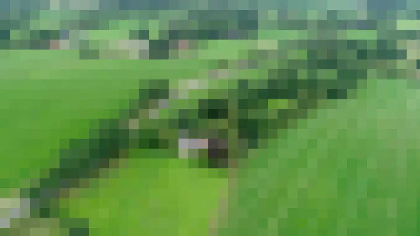 Ootmarsumsestraat 20 Rossum thumbnail 29