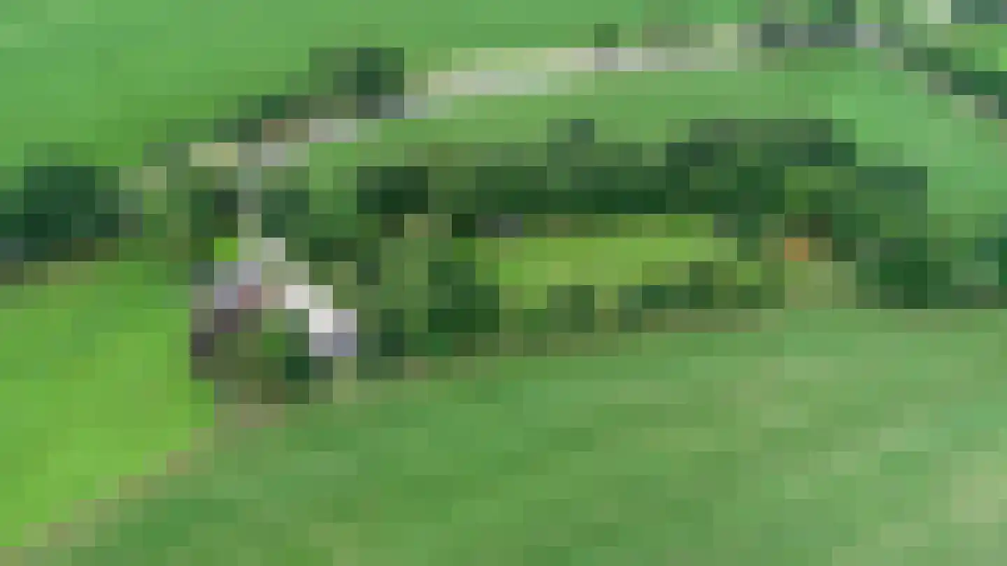 Ootmarsumsestraat 20 Rossum thumbnail 30