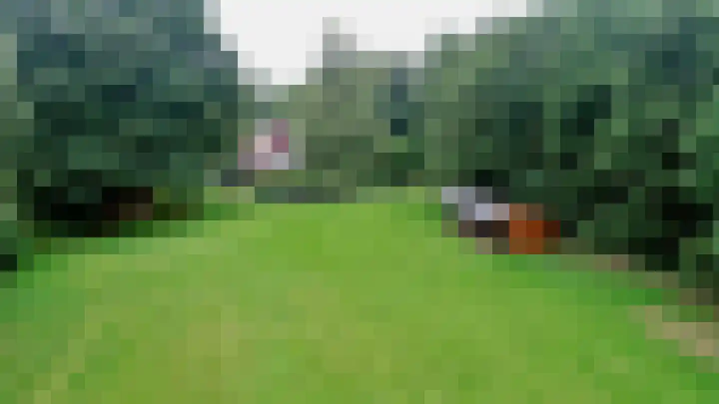 Ootmarsumsestraat 20 Rossum thumbnail 31