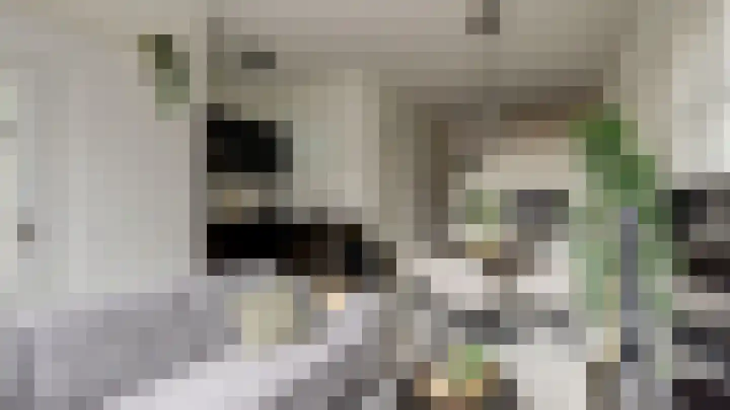 Ootmarsumsestraat 22 Almelo thumbnail 6