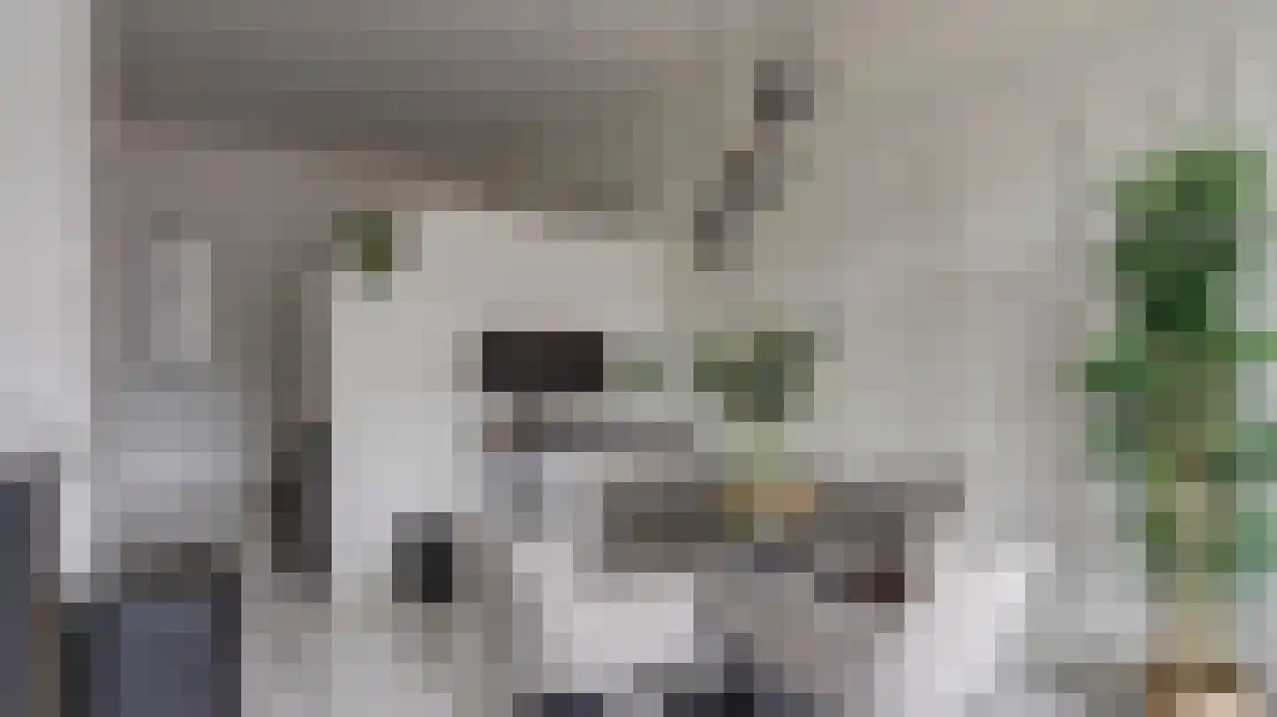 Ootmarsumsestraat 22 Almelo thumbnail 9
