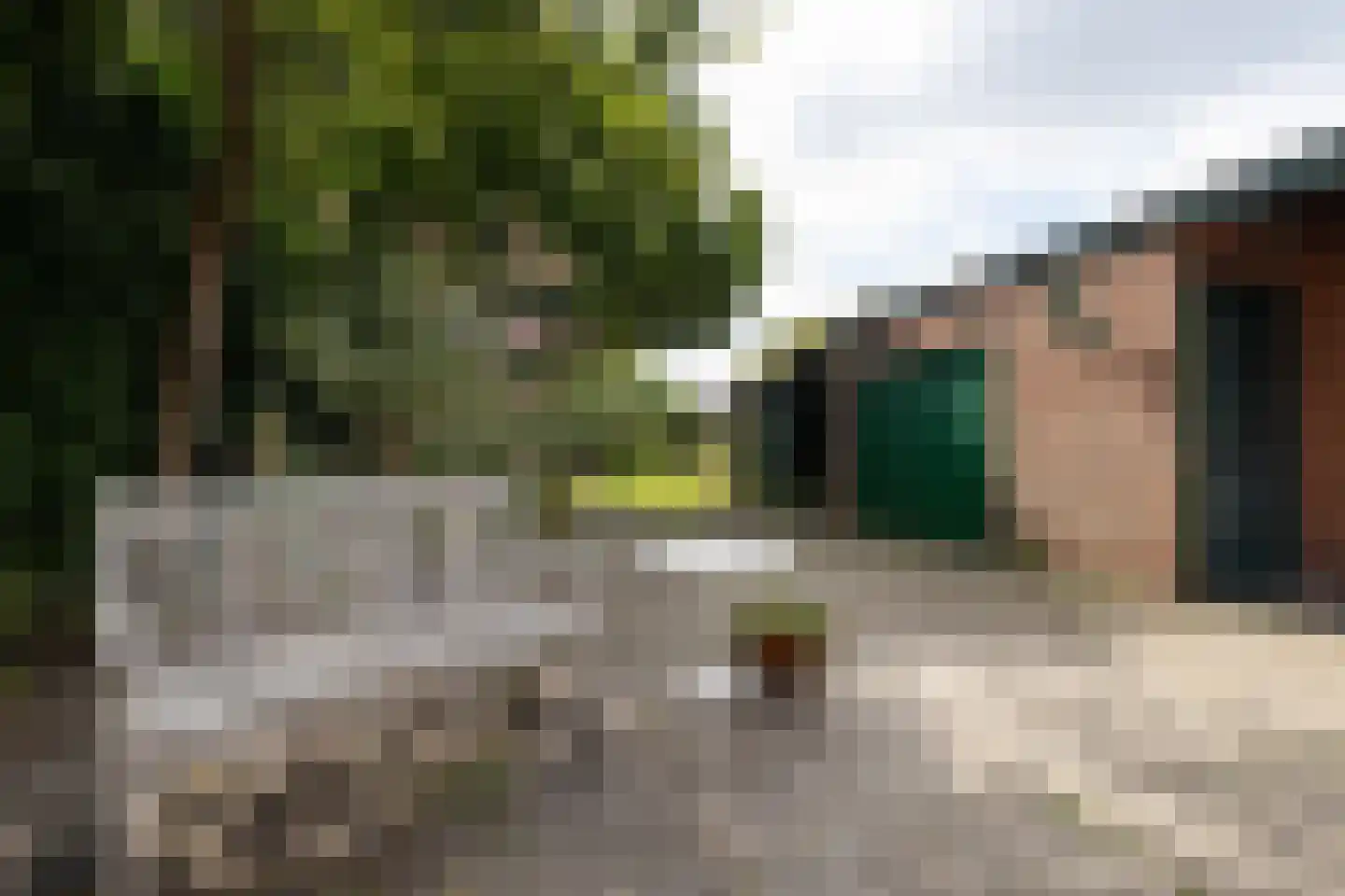 Ootmarsumsestraat 325 Almelo thumbnail 23