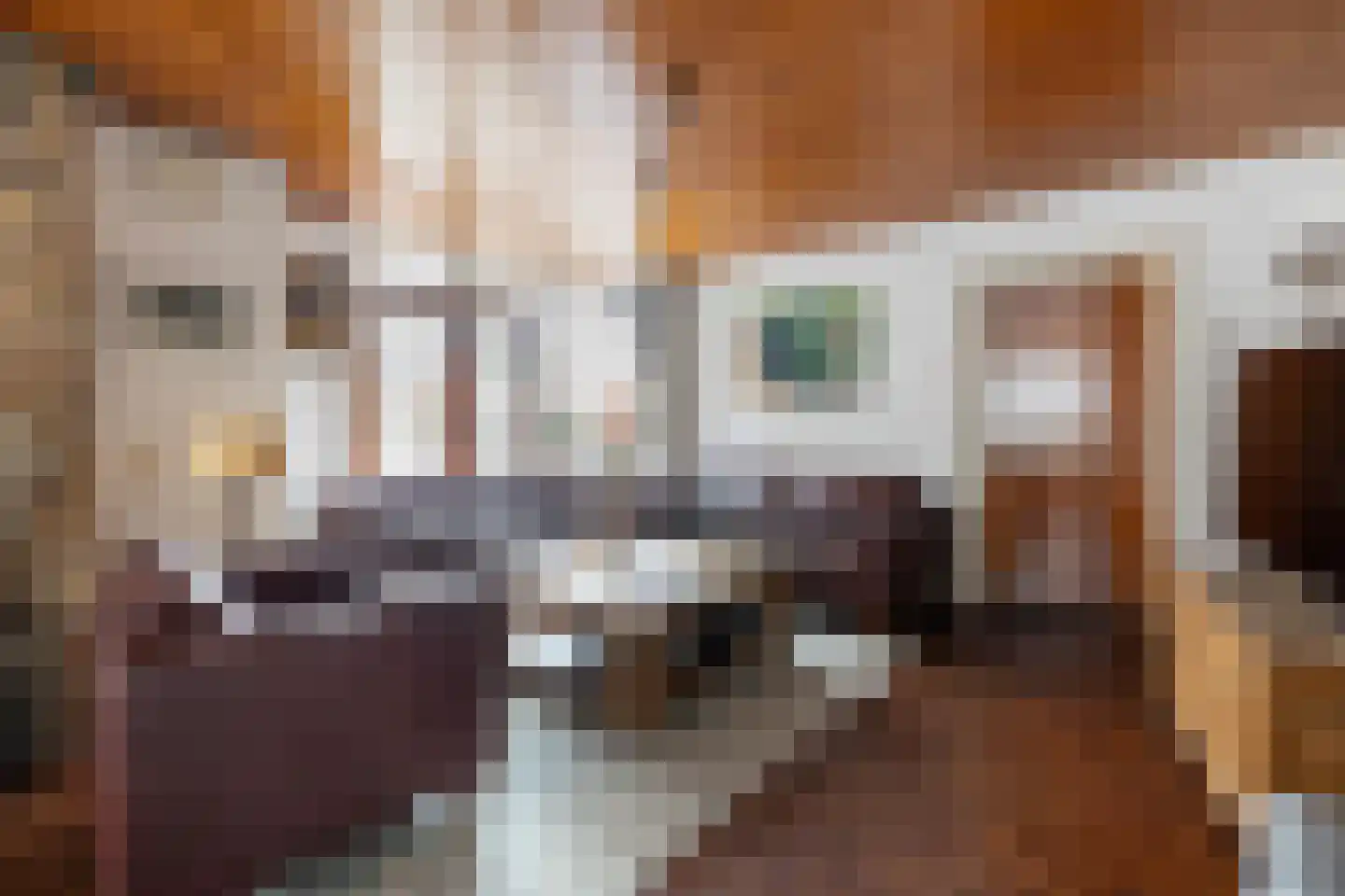 Ootmarsumsestraat 325 Almelo thumbnail 8