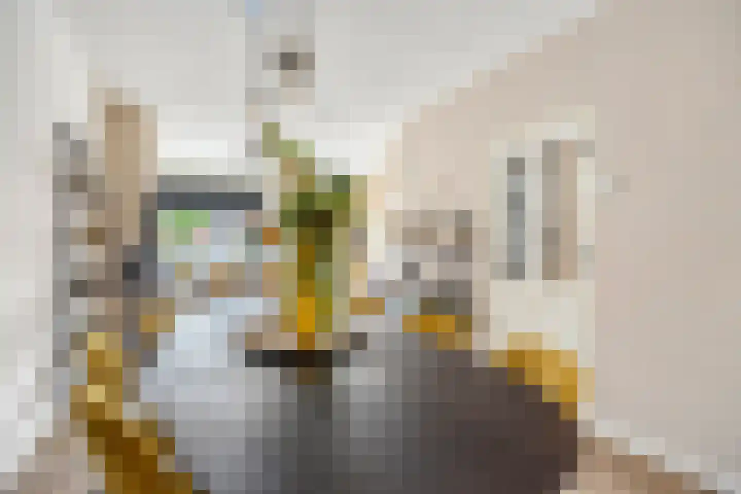 Ootmarsumsestraat 341 Almelo thumbnail 13