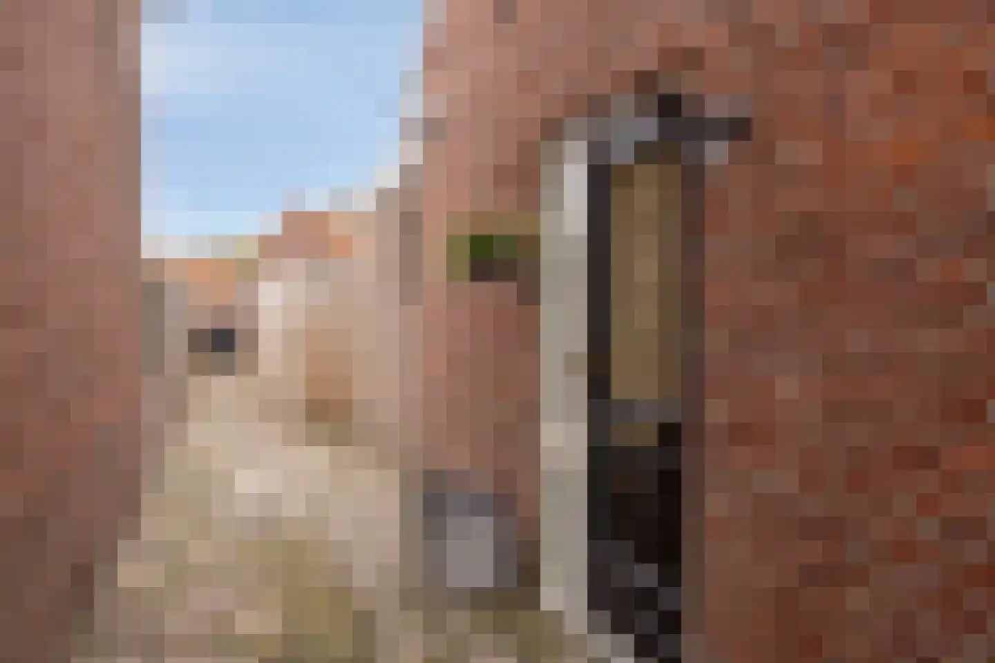 Ootmarsumsestraat 341 Almelo thumbnail 6