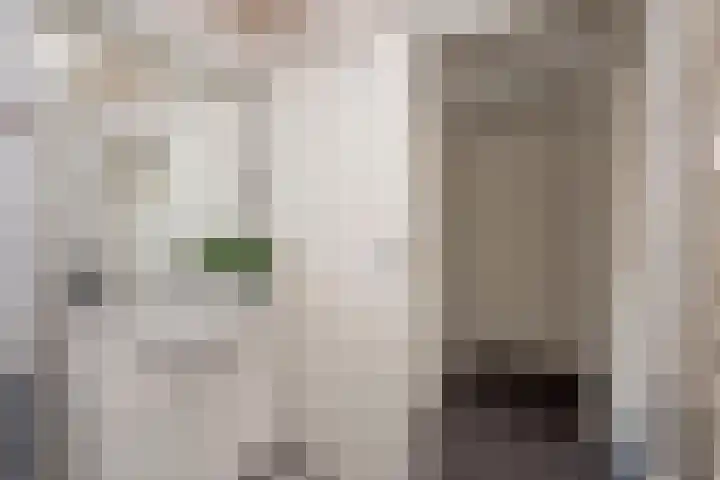 Ootmarsumsestraat 376 Almelo thumbnail 27