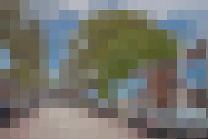 Ootmarsumsestraat 376 Almelo thumbnail 33
