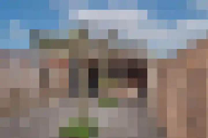 Ootmarsumsestraat 376 Almelo thumbnail 4