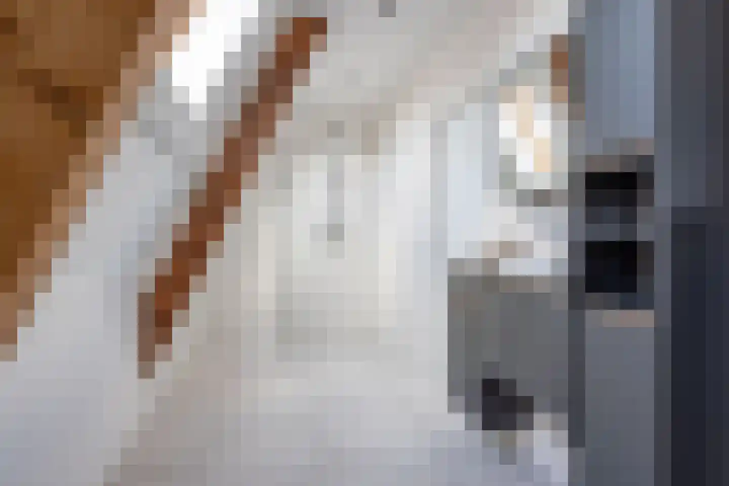 Ootmarsumsestraat 4 a Almelo thumbnail 15