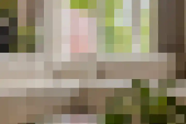 Ootmarsumsestraat 40 Oldenzaal thumbnail 5