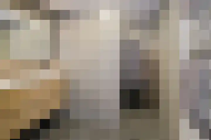 Ootmarsumsestraat 411 Almelo thumbnail 11