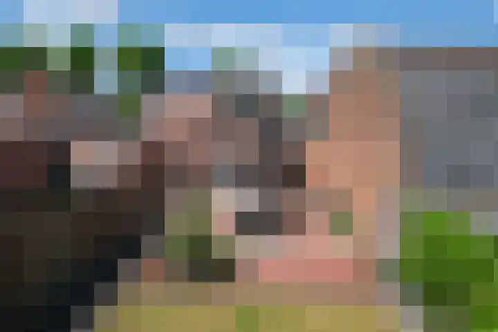 Ootmarsumsestraat 411 Almelo thumbnail 19