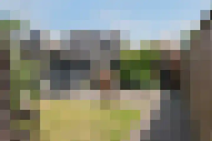 Ootmarsumsestraat 411 Almelo thumbnail 21