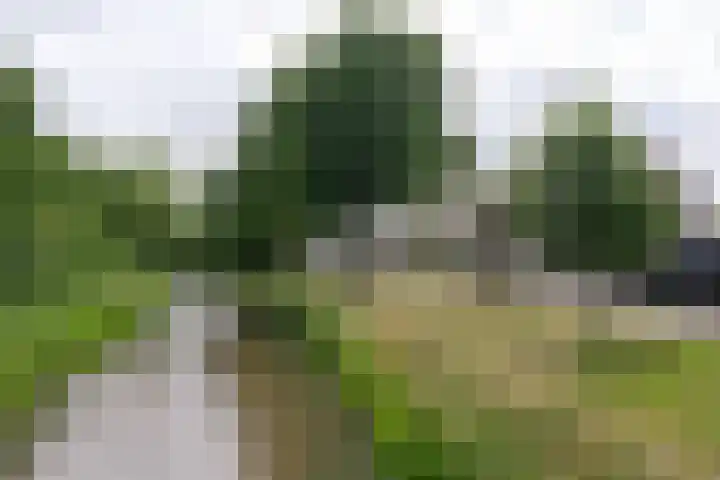 Ootmarsumsestraat 411 Almelo thumbnail 27