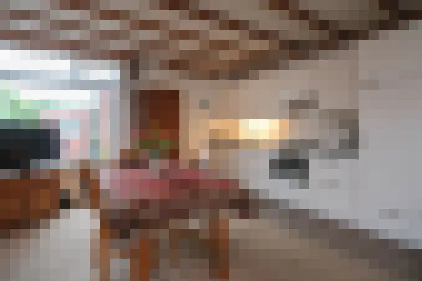 Ootmarsumsestraat 436 Almelo thumbnail 9