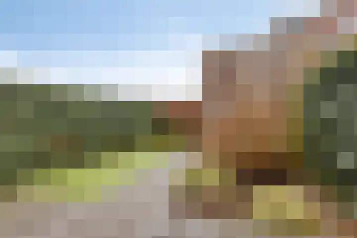 Ootmarsumsestraat 469 Almelo thumbnail 24