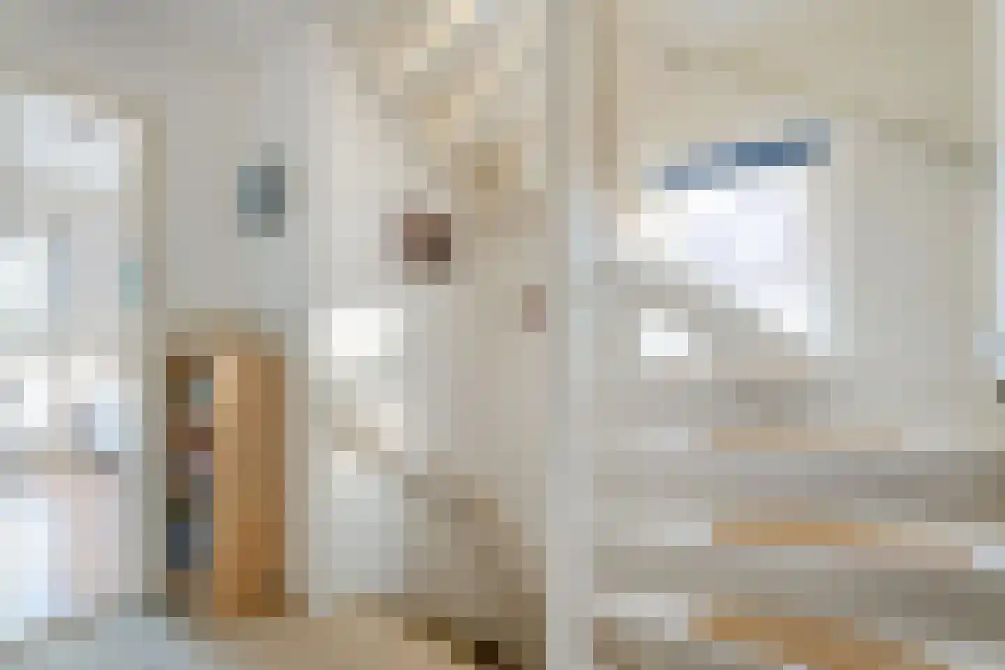 Ootmarsumsestraat 480 Almelo thumbnail 19