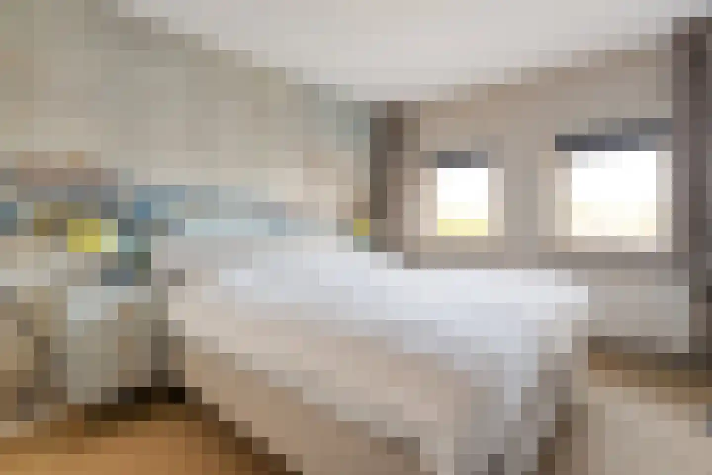 Ootmarsumsestraat 480 Almelo thumbnail 21