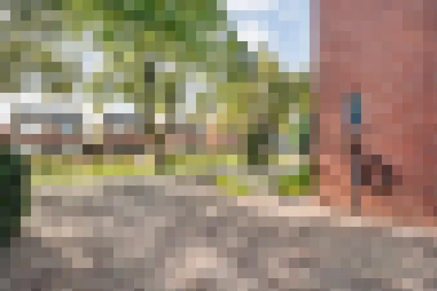 Ootmarsumsestraat 480 Almelo thumbnail 5