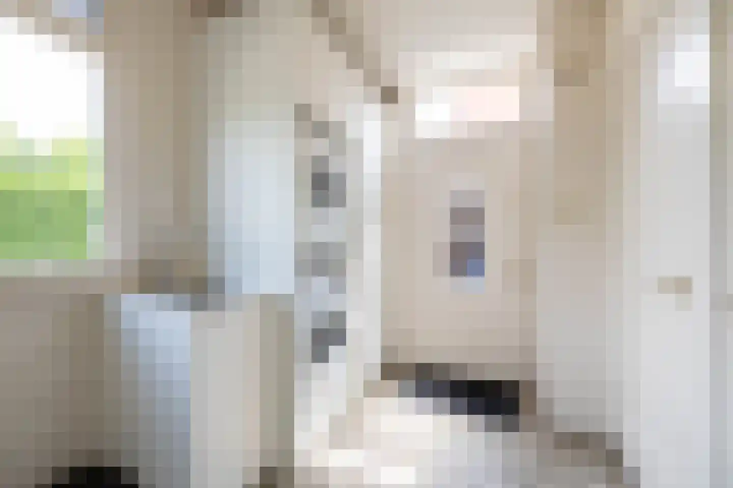 Ootmarsumsestraat 79 Almelo thumbnail 19