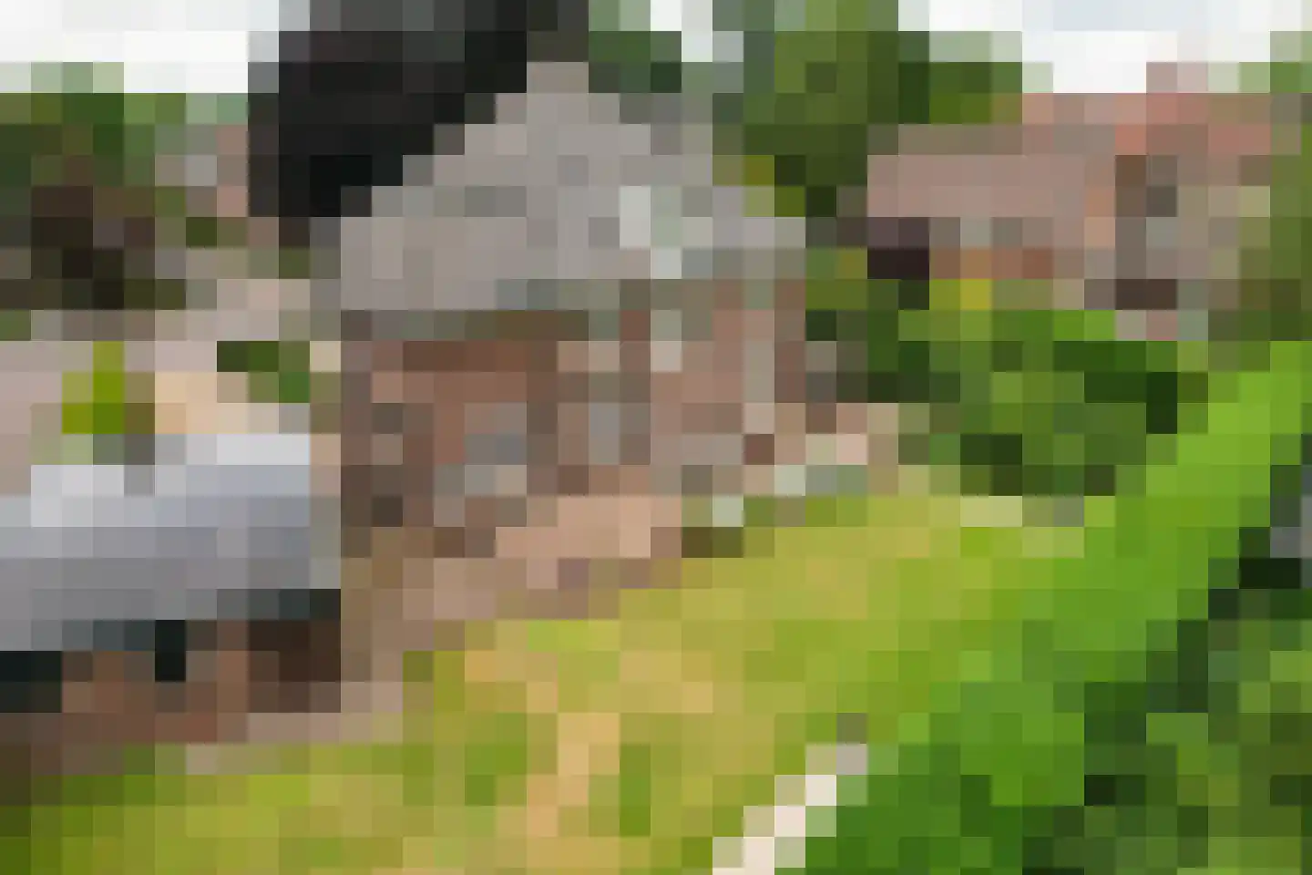 Ootmarsumsestraat 79 Almelo thumbnail 34