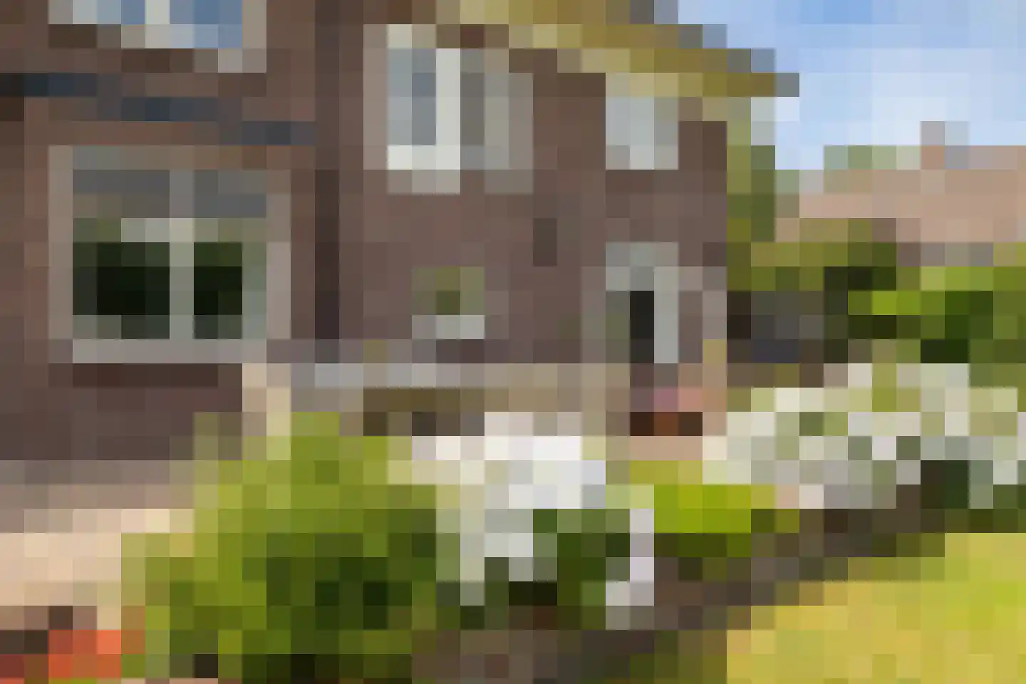 Ootmarsumsestraat 79 Almelo thumbnail 36