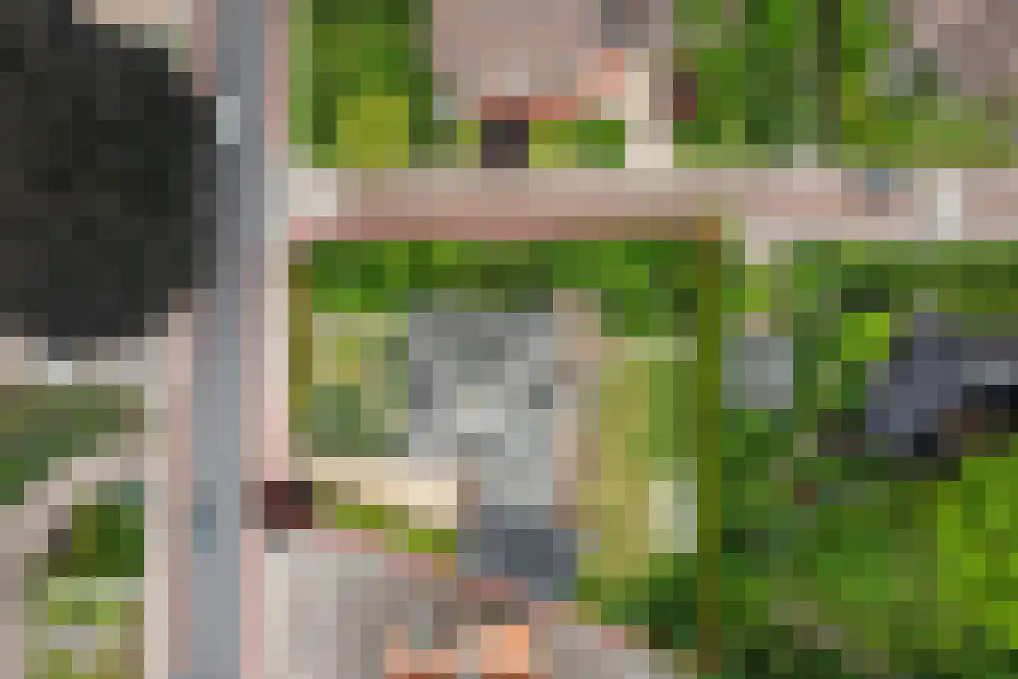 Ootmarsumsestraat 79 Almelo thumbnail 39