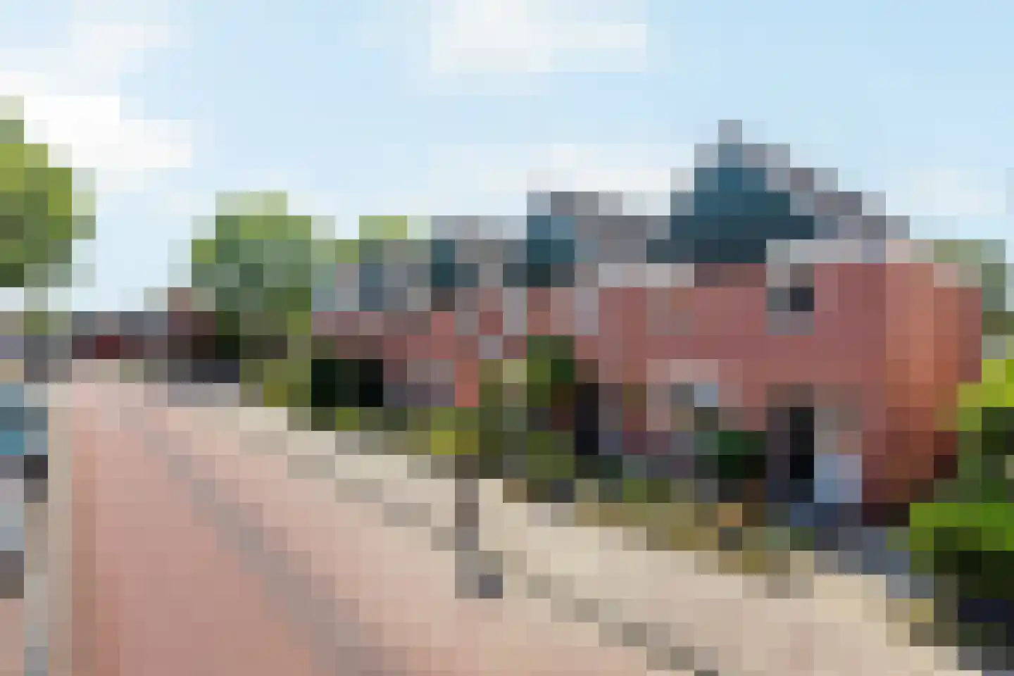 Ootmarsumsestraat 87 Oldenzaal thumbnail 20
