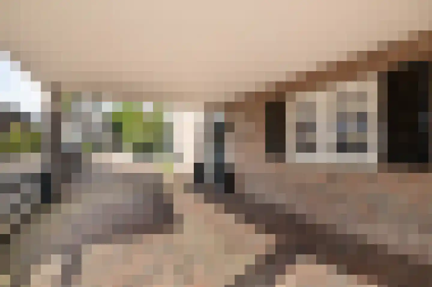 Ootmarsumsestraat 95 a Almelo thumbnail 32