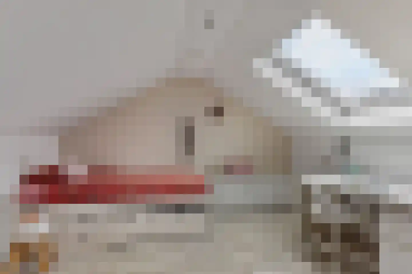Ootmarsumseweg 173 Albergen thumbnail 19