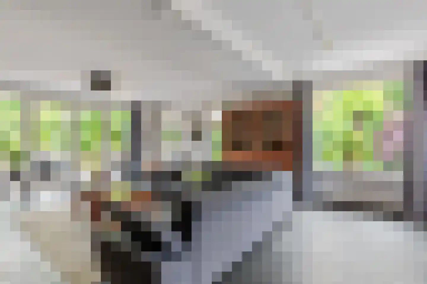 Ootmarsumseweg 173 Albergen thumbnail 6