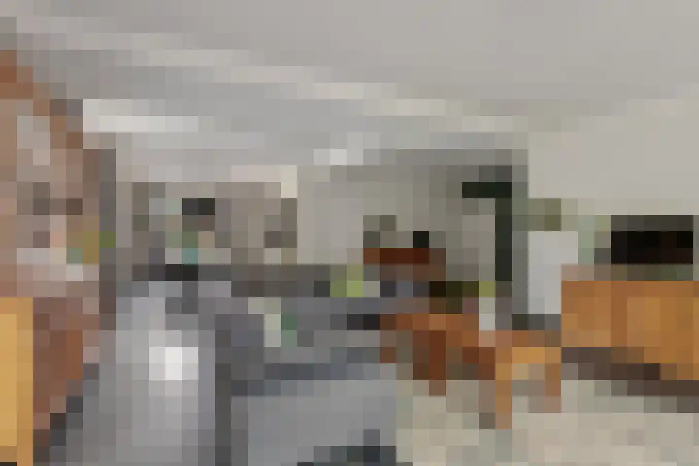 Ootmarsumseweg 173 Albergen thumbnail 8