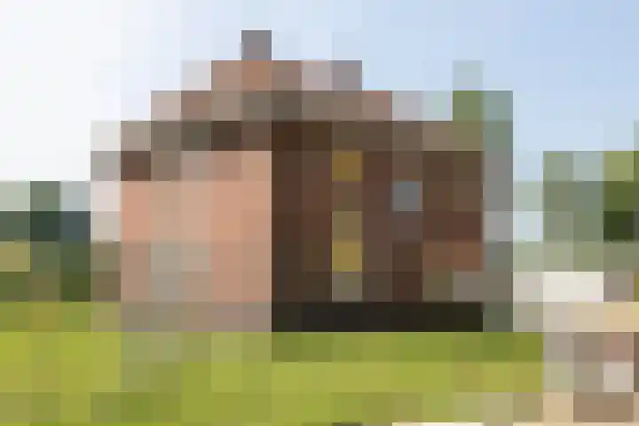 Ootmarsumseweg 363 Reutum thumbnail 18