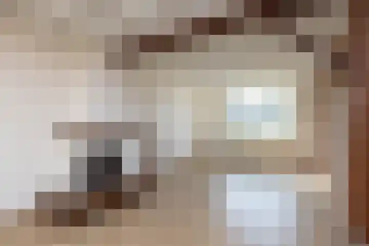 Ootmarsumseweg 363 Reutum thumbnail 4