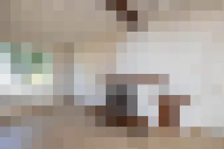 Ootmarsumseweg 363 Reutum thumbnail 5
