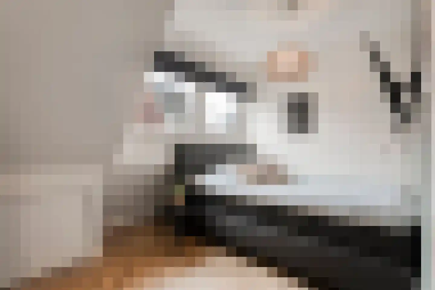 Ootmarsumseweg 92 Albergen thumbnail 19
